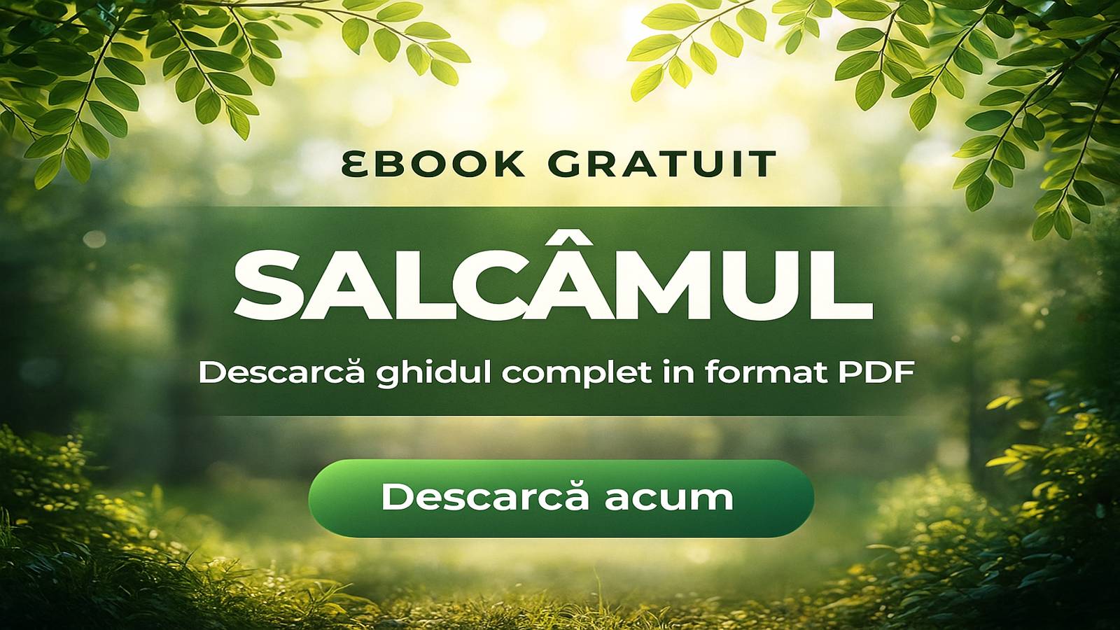 SALCAMUL