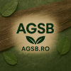 agsb.ro