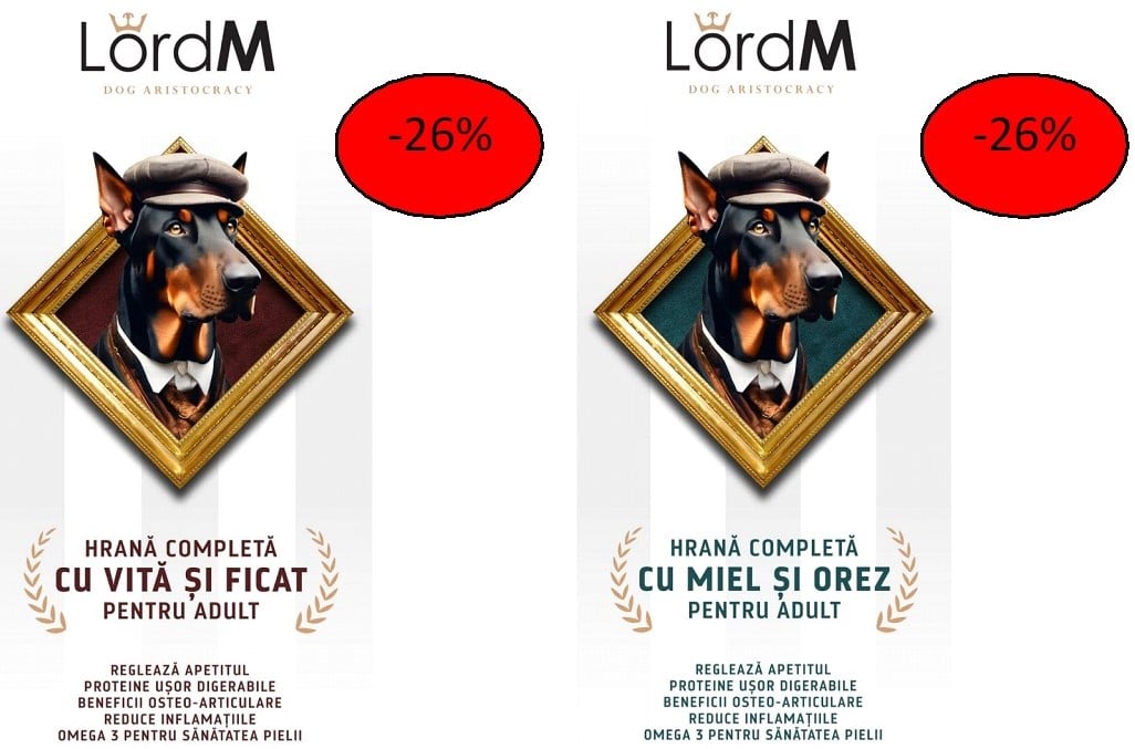lord m promo