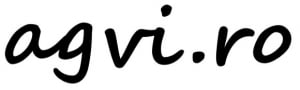 www.agvi.ro
