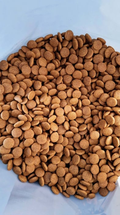 Lord M dog adult 10kg miel si orez [3]