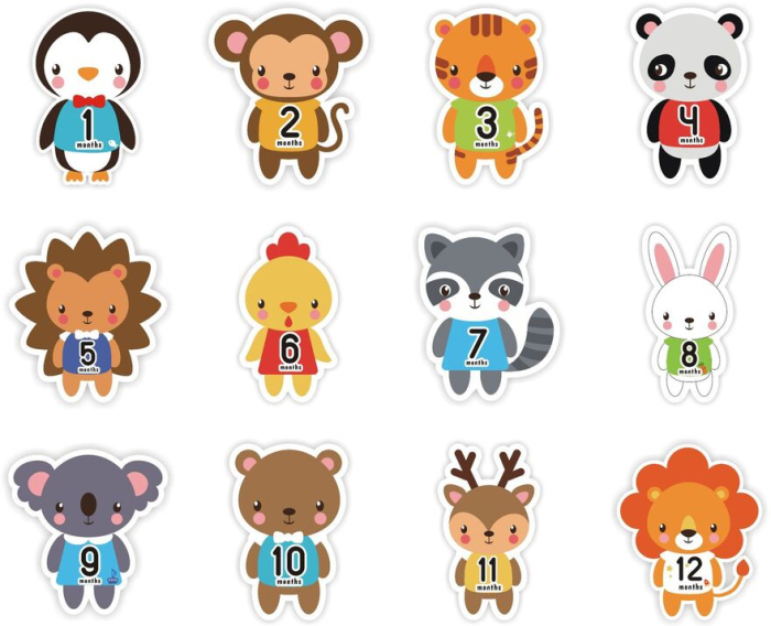 Set 12 Stickere Autocolante cu Animale pentru Fotografii, Primul An al Bebelusului, 10x11cm/sticker [3]