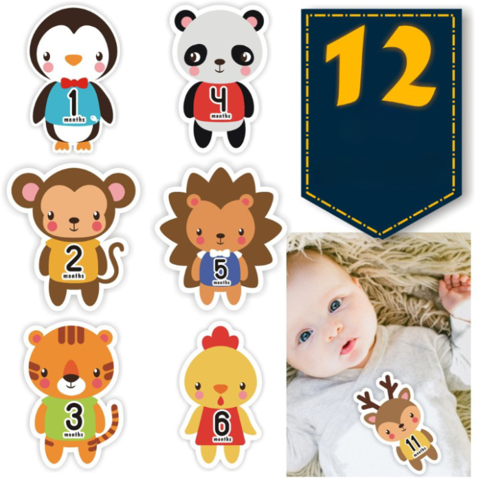 Set 12 Stickere Autocolante cu Animale pentru Fotografii, Primul An al Bebelusului, 10x11cm/sticker [1]