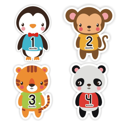 Set 12 Stickere Autocolante cu Animale pentru Fotografii, Primul An al Bebelusului, 10x11cm/sticker [3]