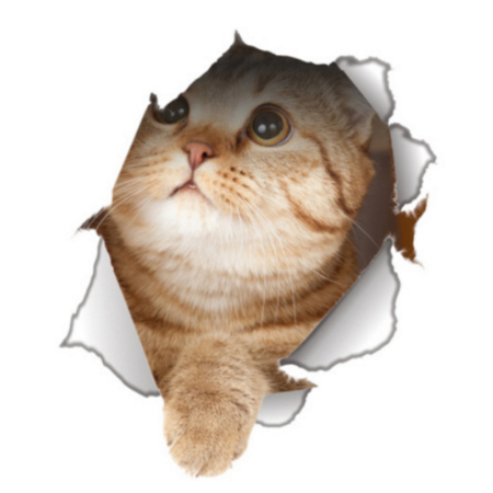 Stickere decorative - Sticker Autocolant Copii, Pisica, 16x25 cm, Aida HER®