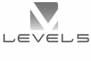 Level 5