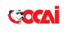 OCAI