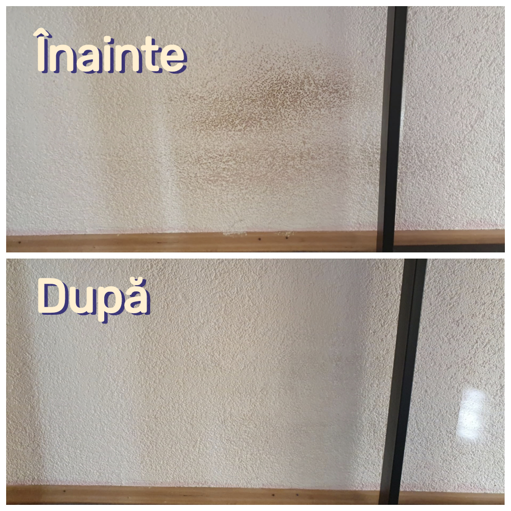 Vopsea Perete cu Aplicator Inclus, Alb, Molto S.O.S Easy, Lavabilă, Pentru Interior, Acoperă Pete, Zgârieturi, Corectează Imperfecţiuni, 30ml [6]