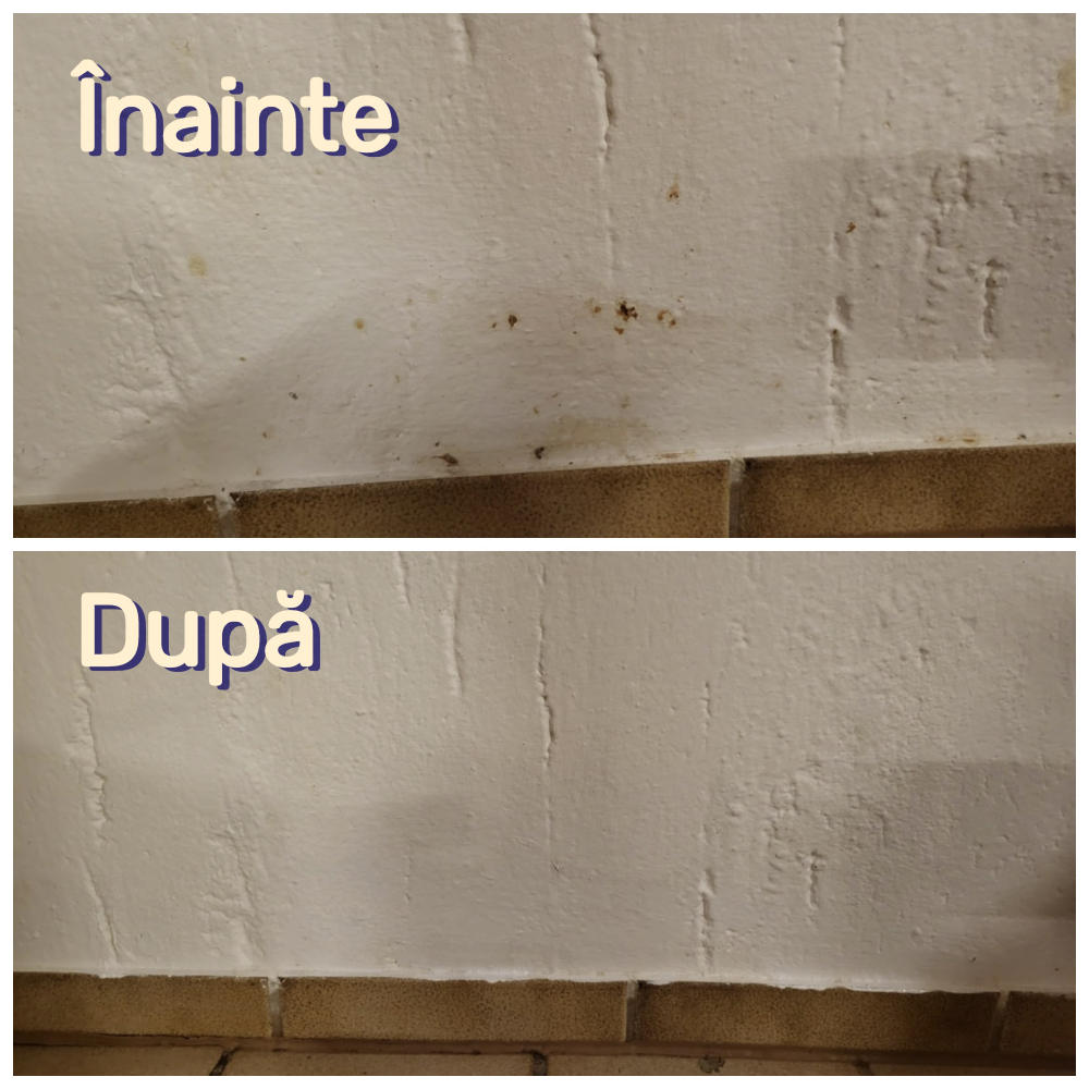 Vopsea Perete cu Aplicator Inclus, Alb, Molto S.O.S Easy, Lavabilă, Pentru Interior, Acoperă Pete, Zgârieturi, Corectează Imperfecţiuni, 30ml [5]