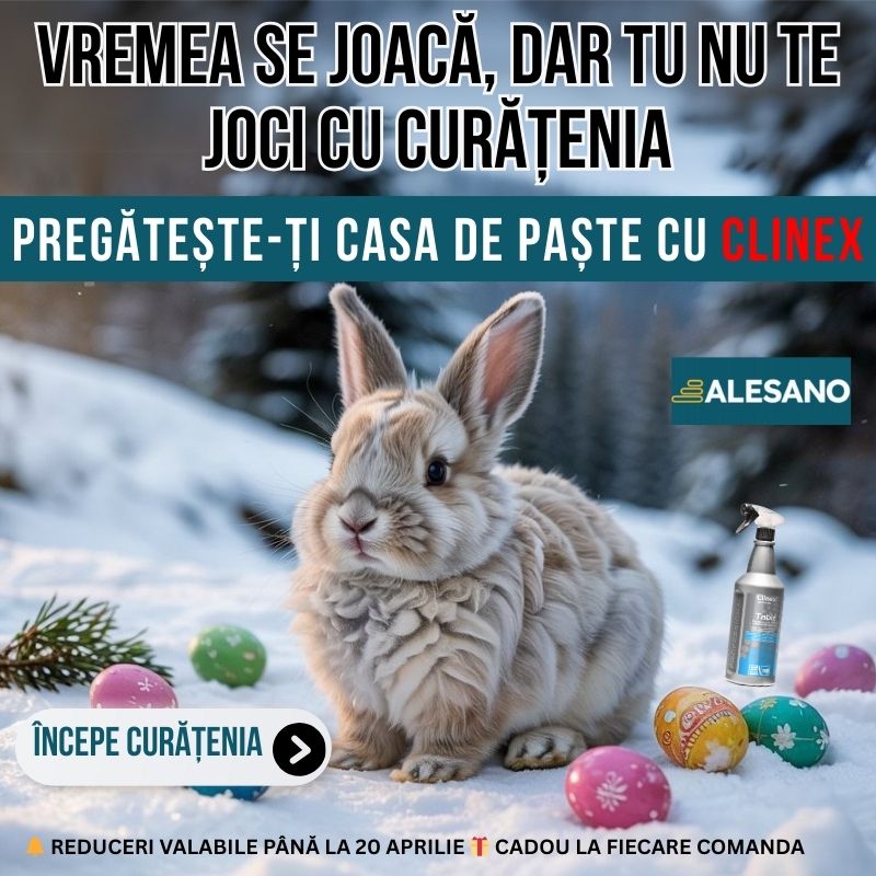 Curatenia de Paste