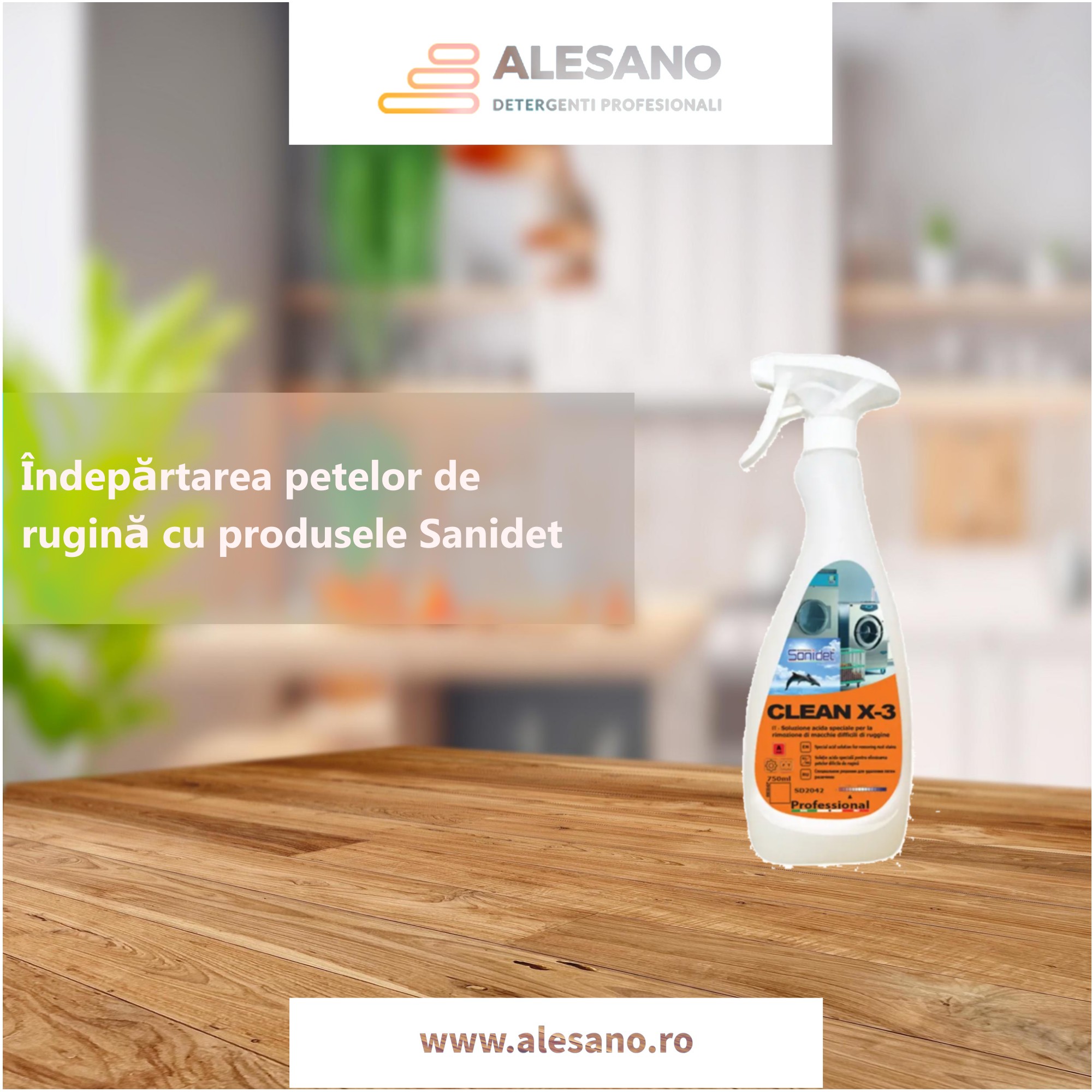 Îndepărtarea petelor de rugină cu produsele Sanidet 