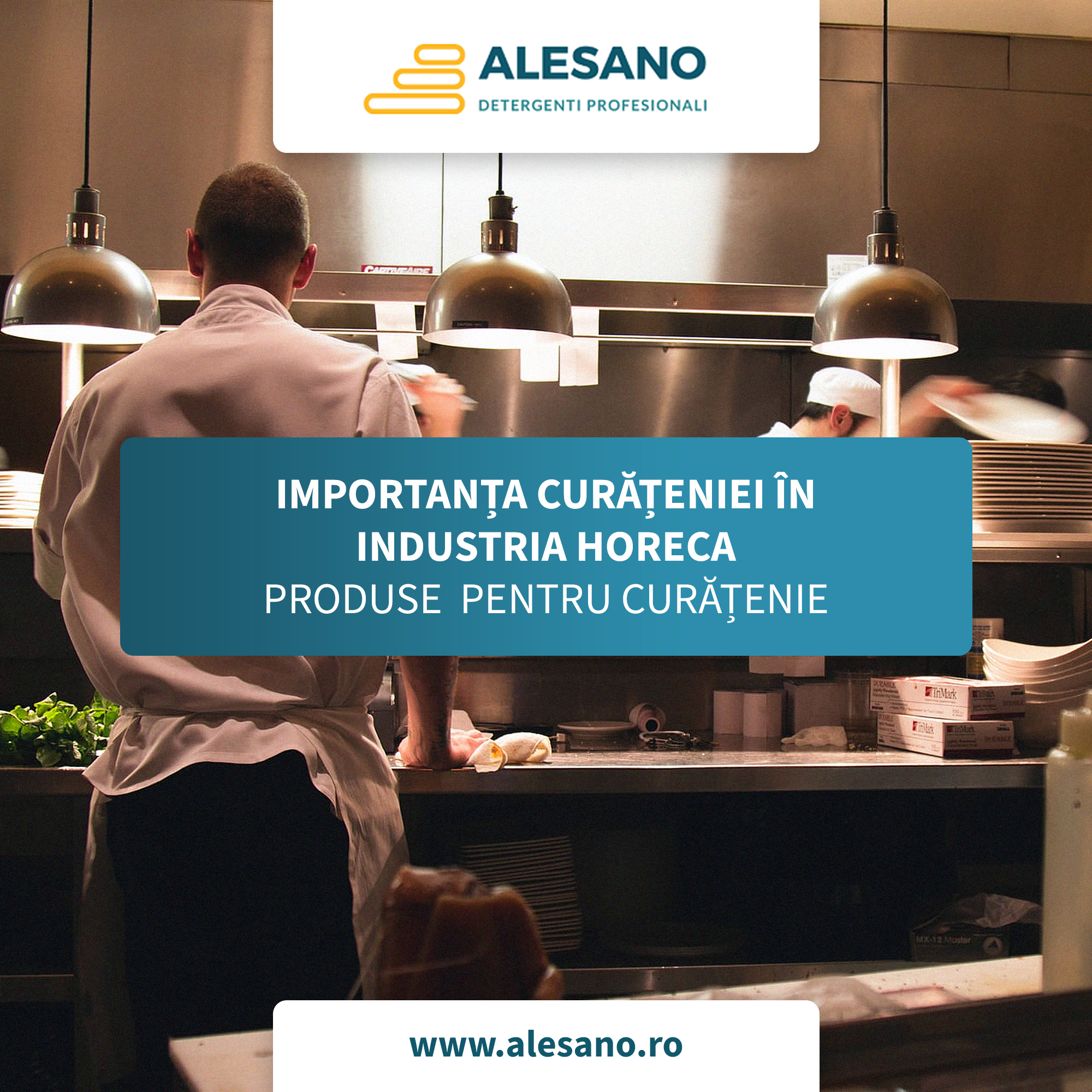 Alesano.ro Importanța Curățeniei în Industria HORECA