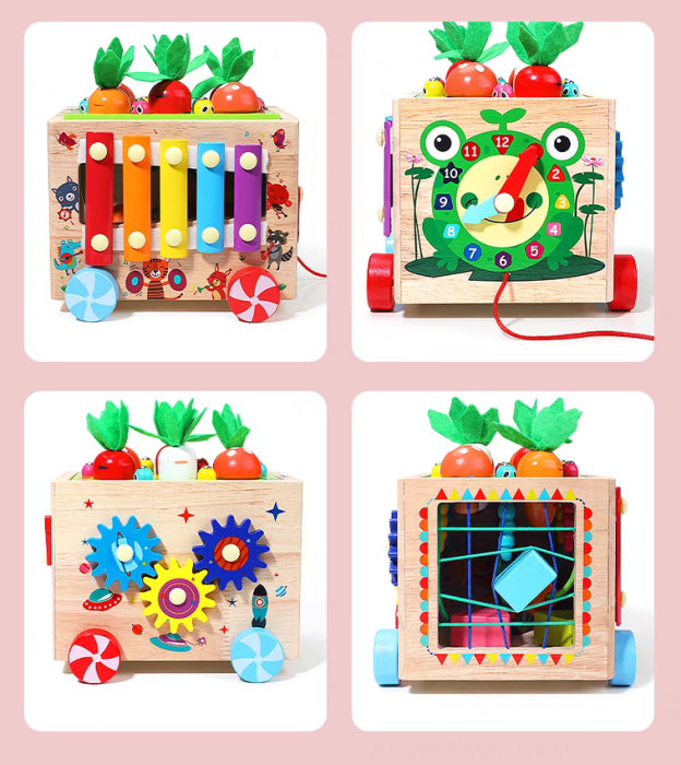 Cub Educativ Montessori 8 în 1 din Lemn cu Xilofon [3]