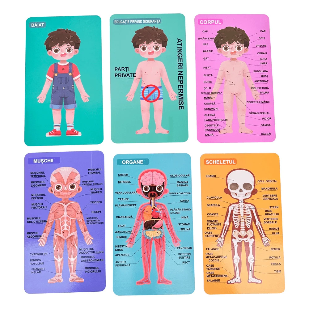 Puzzle Educativ Anatomia Corpului Uman pentru Copii 6+ [14]