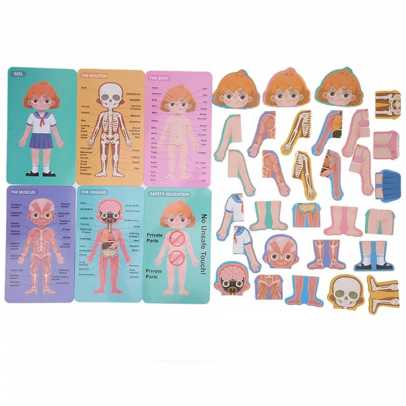 Puzzle Educativ Structura Corpului Uman pentru Fete 6+ [10]