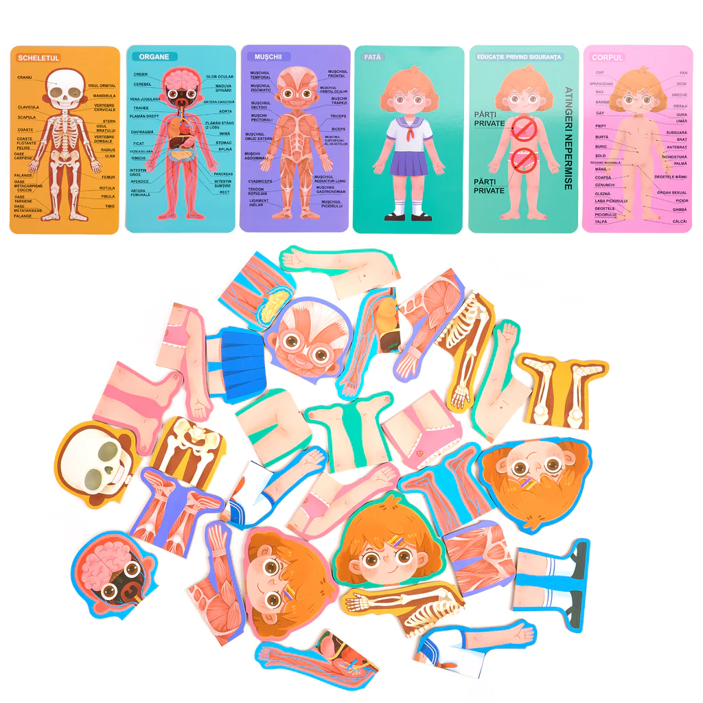 Puzzle Educativ Structura Corpului Uman pentru Fete 6+ [2]