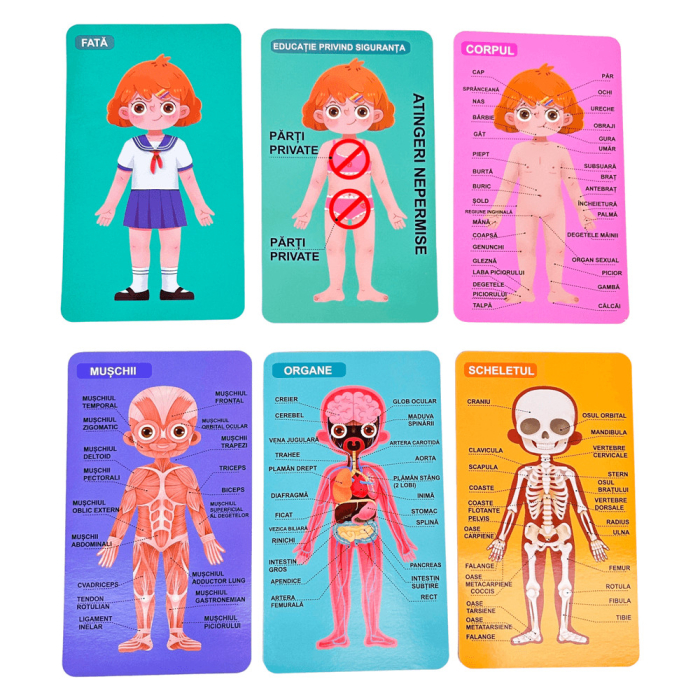 Puzzle Educativ Structura Corpului Uman pentru Fete 6+ [3]