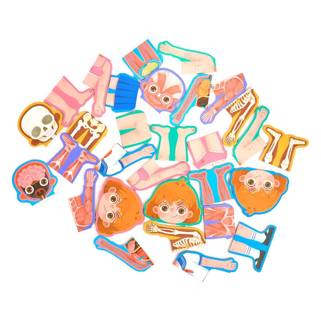 Puzzle Educativ Structura Corpului Uman pentru Fete 6+ [14]