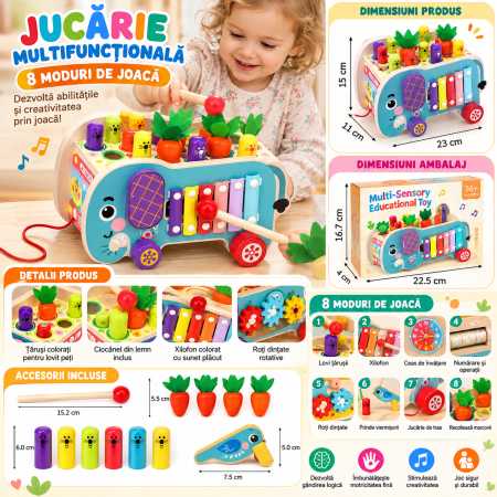 Jucărie Montessori Multifuncțională din Lemn cu Pescuit Magnetic, Ciocănel și Xilofon, Centru de Activități pentru Copii [7]