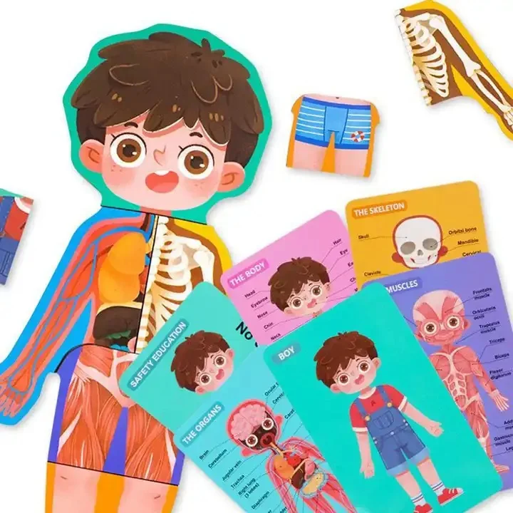 Puzzle Educativ Anatomia Corpului Uman pentru Copii 6+ [9]