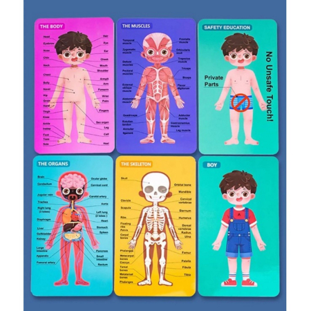 Puzzle Educativ Anatomia Corpului Uman pentru Copii 6+ [4]
