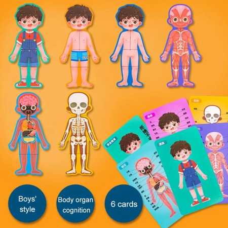 Puzzle Educativ Anatomia Corpului Uman pentru Copii 6+ [6]