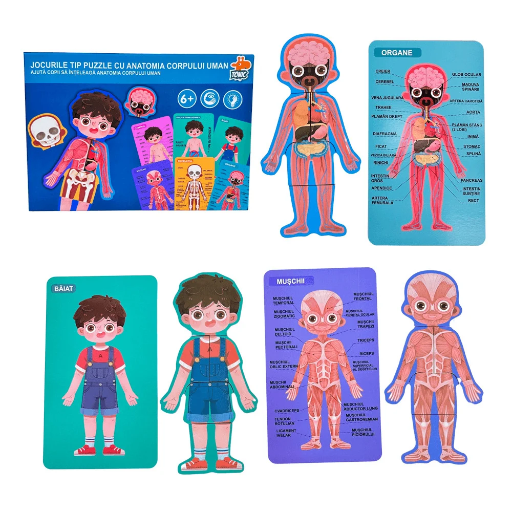 Puzzle Educativ Anatomia Corpului Uman pentru Copii 6+ [11]