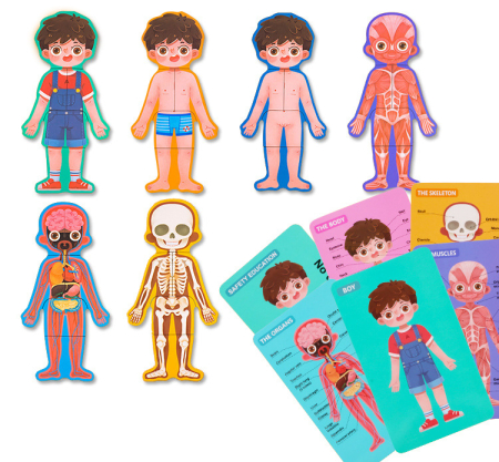 Puzzle Educativ Anatomia Corpului Uman pentru Copii 6+ [1]