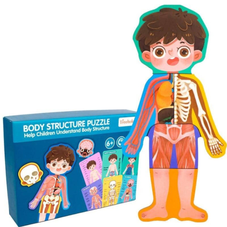 Jocuri Memorie si Asociere - Puzzle Educativ Anatomia Corpului Uman pentru Copii 6+