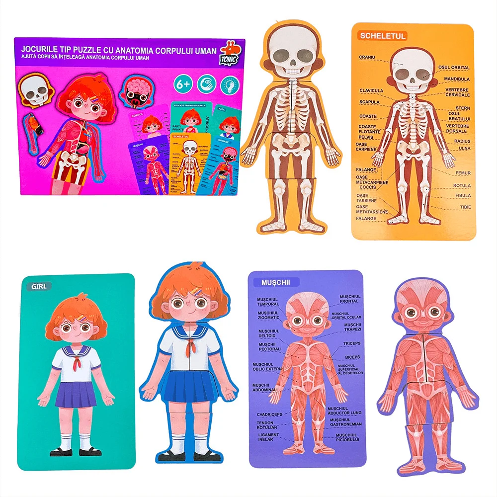 Puzzle Educativ Structura Corpului Uman pentru Fete 6+ [3]