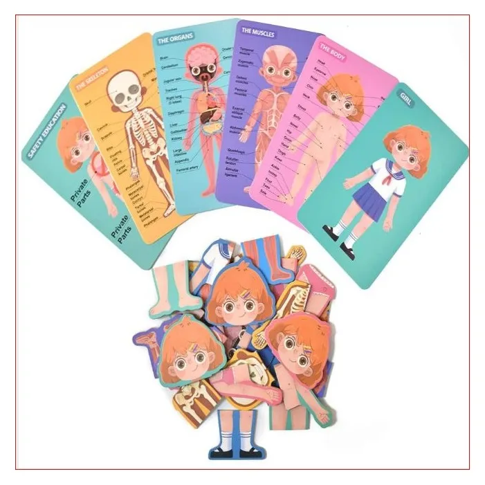 Puzzle Educativ Structura Corpului Uman pentru Fete 6+ [7]