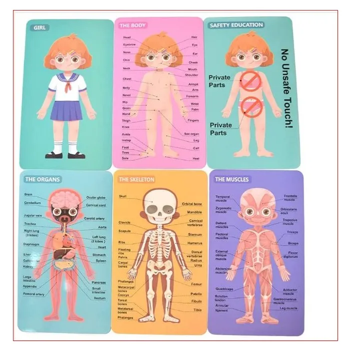 Puzzle Educativ Structura Corpului Uman pentru Fete 6+ [10]