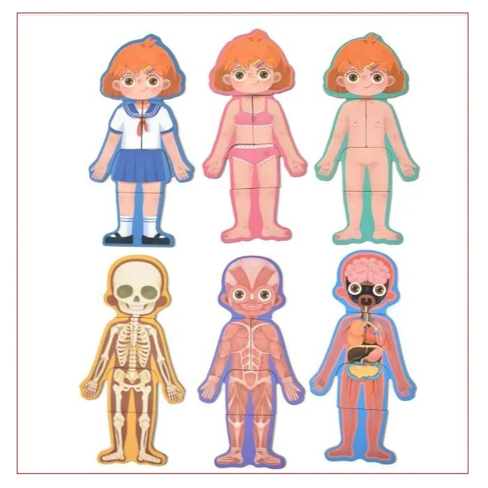 Puzzle Educativ Structura Corpului Uman pentru Fete 6+ [11]