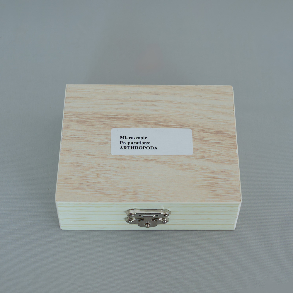 Arthropoda – set 15 preparate microscopice pe lame [2]