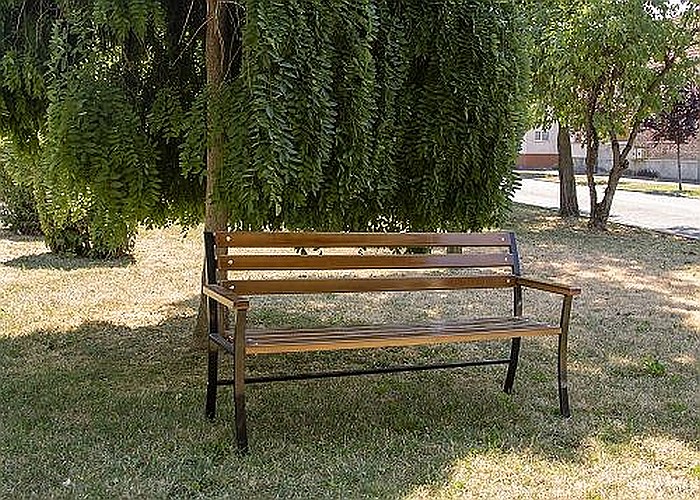 Banca GAROFIȚA [3]