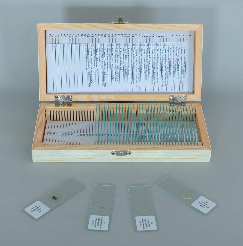 Botanică – set 38 preparate microscopice pe lame [3]