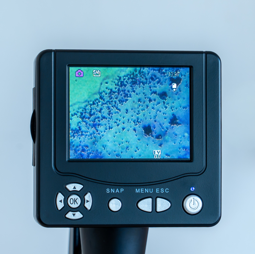 Coci – set 10 preparate microscopice [4]