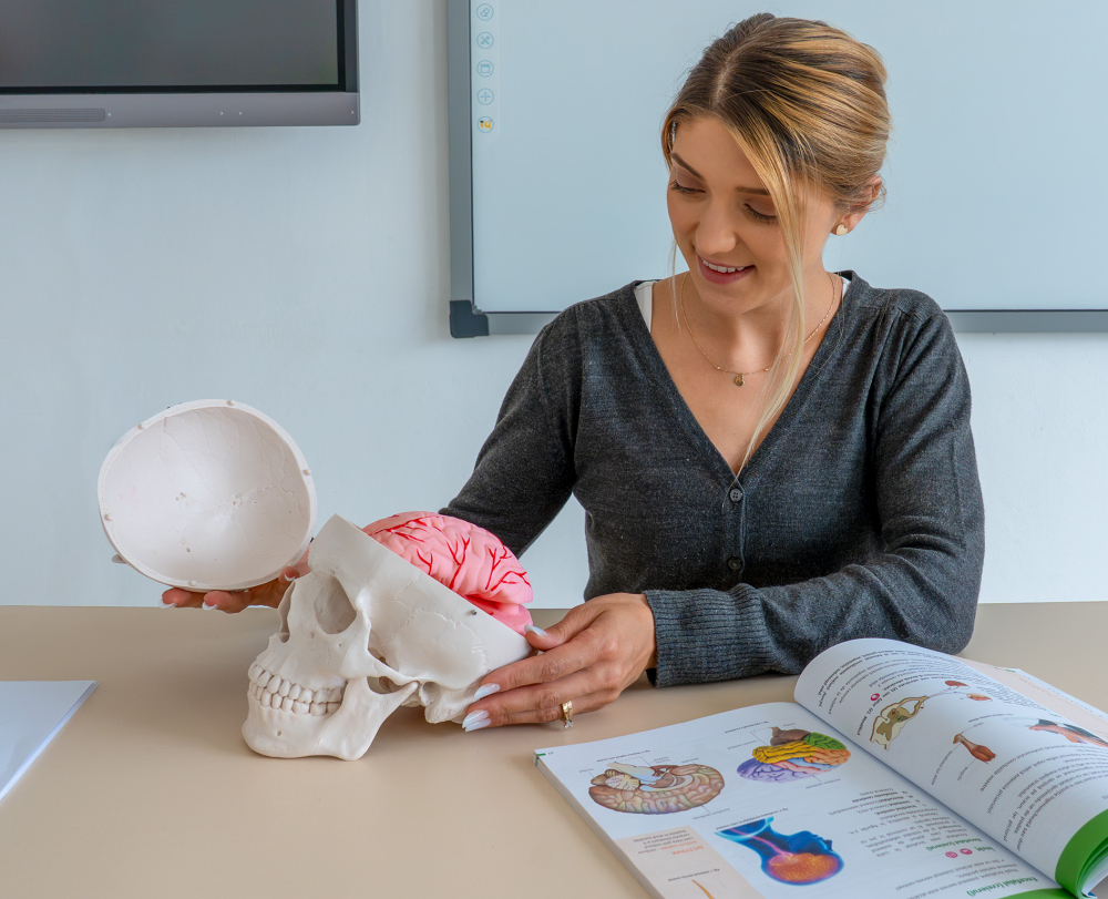 Craniu uman cu encefal – model anatomic [3]