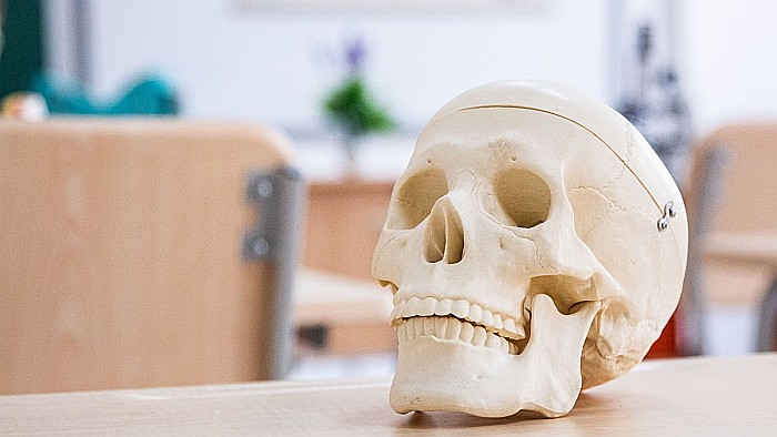 Craniu clasic [3]