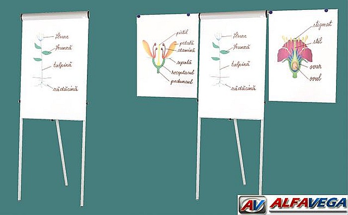 flipchart-magnetic-cu-brate-laterale [2]