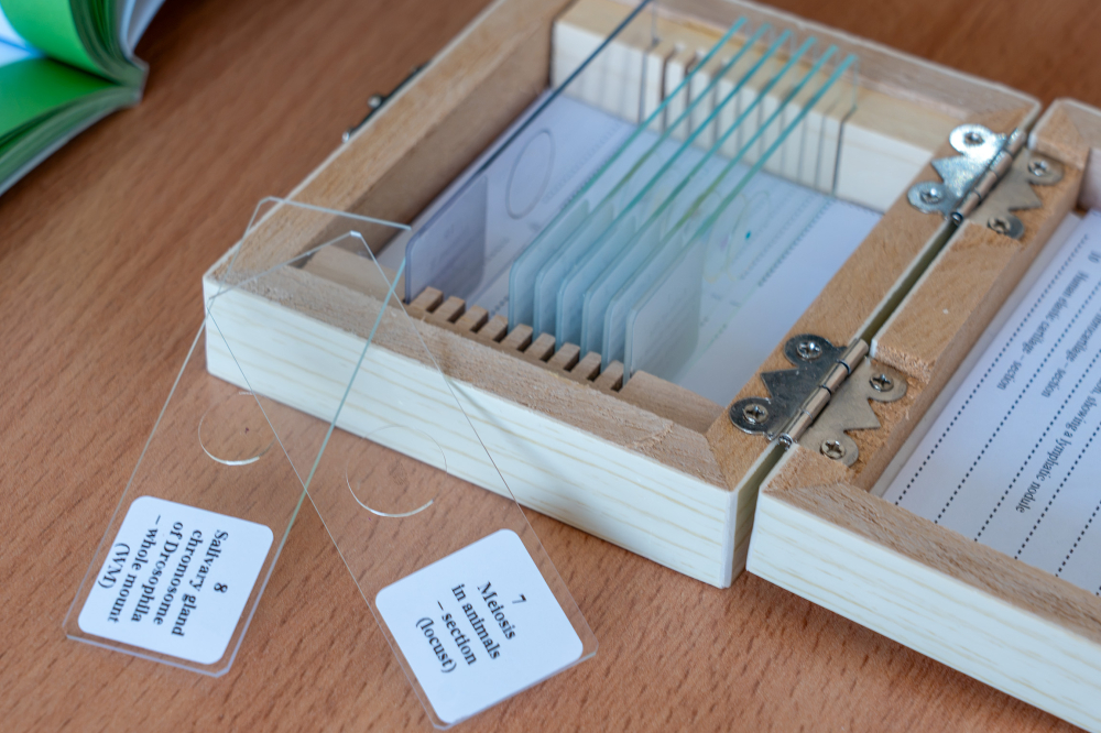 Genetică umană și animală – set 10 preparate microscopice [4]