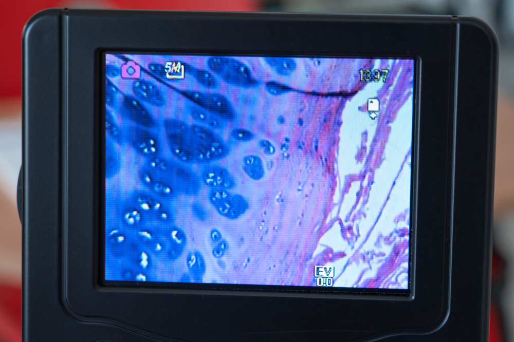 Histologie – set 30 preparate microscopice pe lame [5]