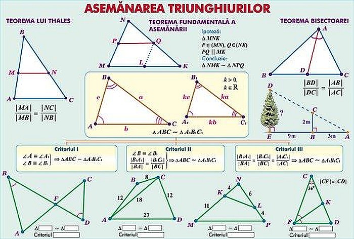 Inecuatii cu o necunoscuta / Asemanarea triunghiurilor (duo) [2]