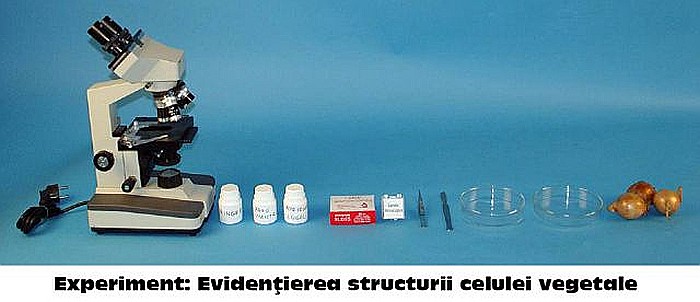 KIT 1. Ustensile de laborator de citologie, histologie, morfologie si anatomie vegetala [8]