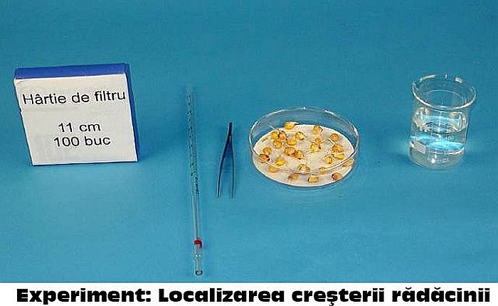 KIT 1. Ustensile de laborator de citologie, histologie, morfologie si anatomie vegetala [10]