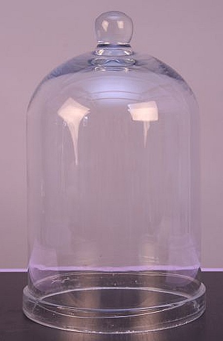 KIT 3. Trusa de ustensile fiziologia plantelor (Minim) [11]