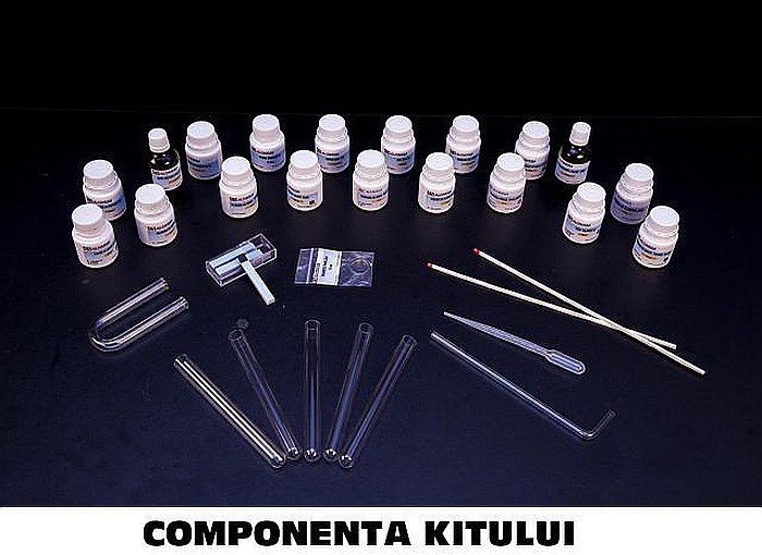 KIT 5. Substante compuse (Oxizi. Baze. Acizi. Saruri) - gimnaziu [2]