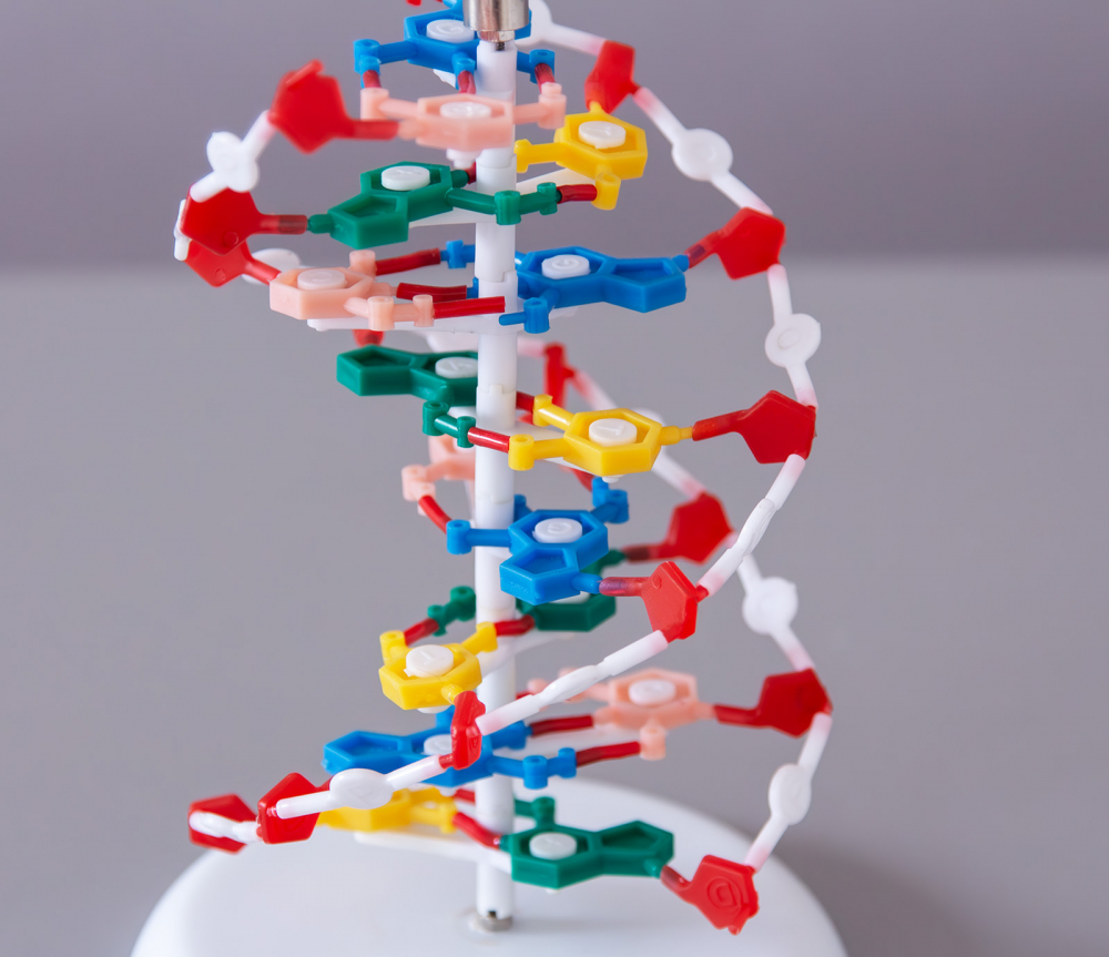 Model ADN, inalt de 20 cm [2]