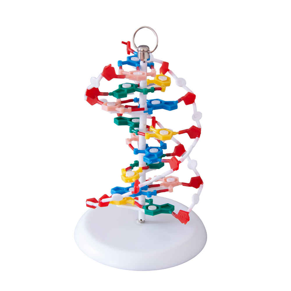 Model ADN, inalt de 20 cm [4]