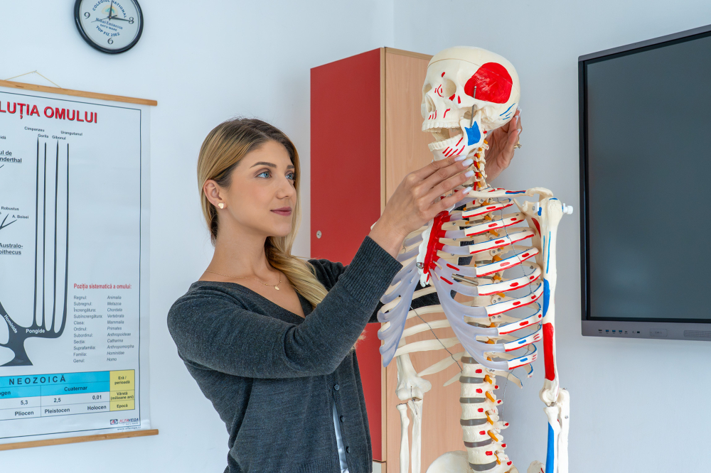Model schelet uman cu mușchi și ligamente, 170 cm, pe suport [4]